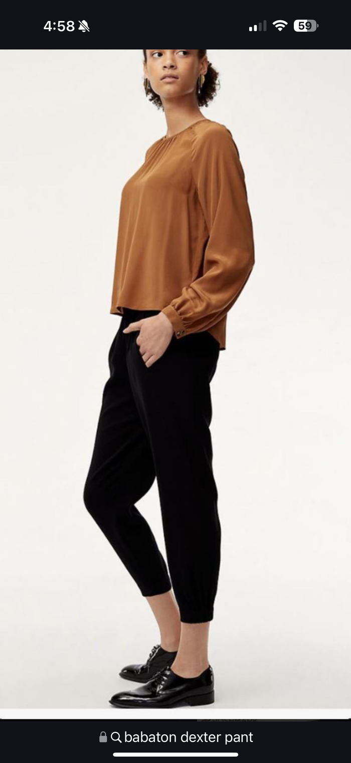 Aritzia Babaton Dexter Pant (L)