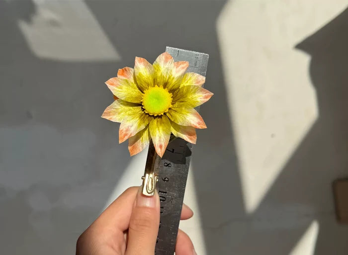PF317 - Ronghua Hair Clip - Wholesale