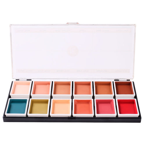Open 12-color flesh tone alcohol-activated palette with shades visible on white background