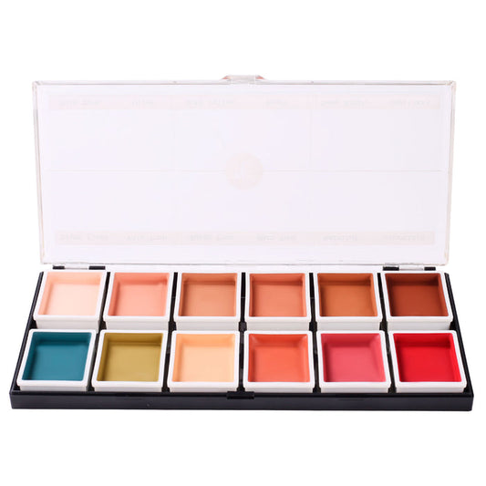 Open 12-color flesh tone alcohol-activated palette with shades visible on white background