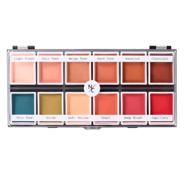 Closed 12-color flesh tone alcohol-activated palette with shade names on white background