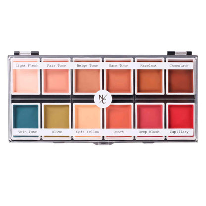 Closed 12-color flesh tone alcohol-activated palette with shade names on white background