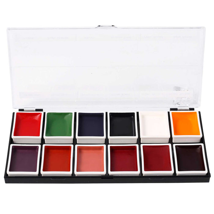 12 Color FX Alcohol Activated Palette open case