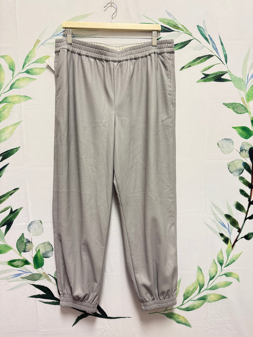 Aritzia Babaton Zedel Jogger (1XL)