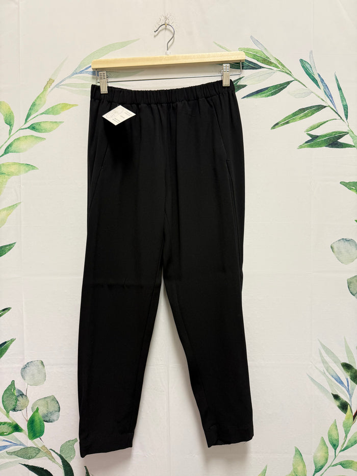 Aritzia Babaton Dexter Pant (L)