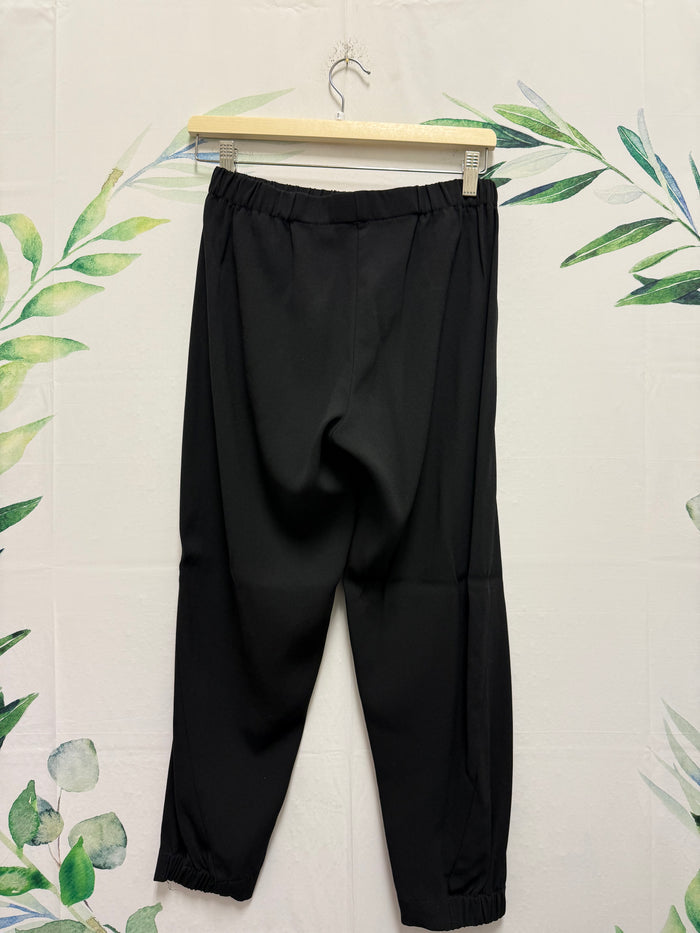 Aritzia Babaton Dexter Pant (L)