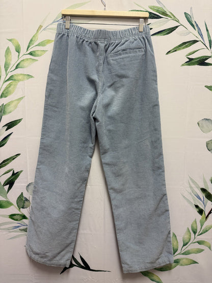 Aritzia TNA Carlaw Cord (M)