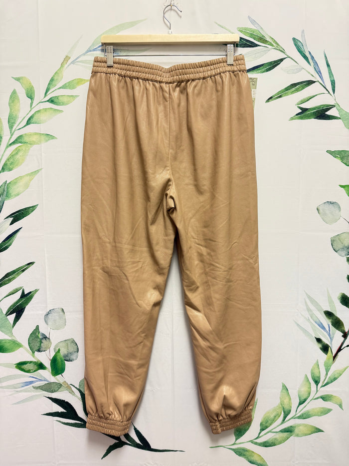 Aritzia Babaton Zedel Jogger (L)