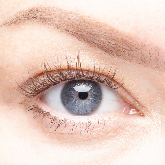 Barcelona - Pre-Glued Lash Clusters