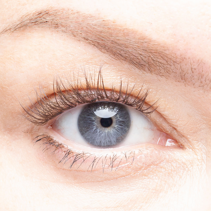 Barcelona - Pre-Glued Lash Clusters