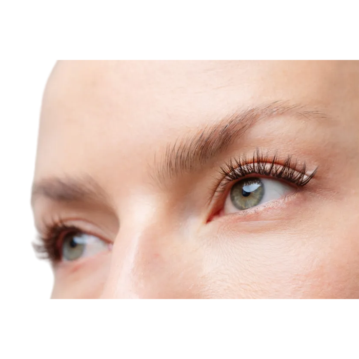 Barcelona - Pre-Glued Lash Clusters