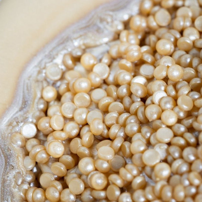 Suisse Gold Hard Wax Beads — WAXBARE product photo 3