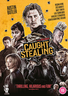 Caught Stealing DVD