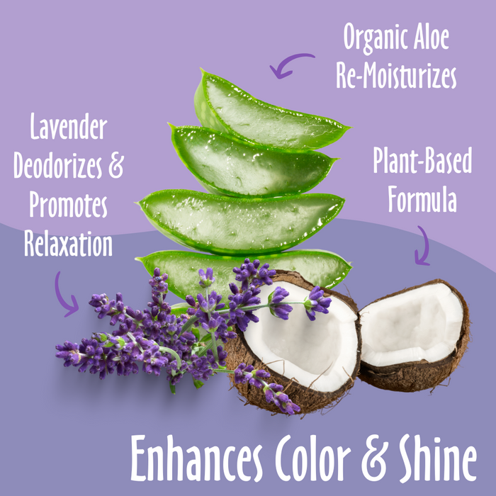 Enhances Color & Shine elements like Organic Aloe, Plant-Based, Lavender and their benefits.