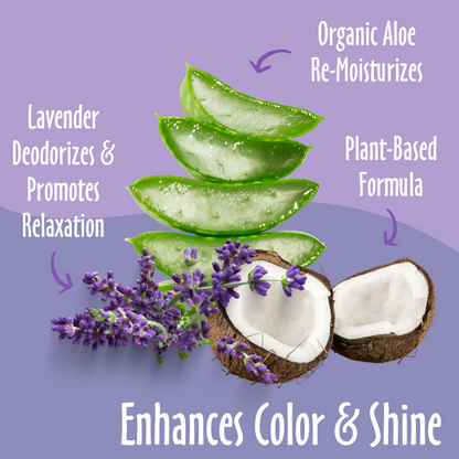 Enhances Color & Shine elements like Organic Aloe, Plant-Based, Lavender and their benefits.