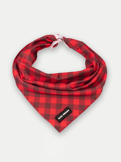 Cosmic Pets Bandana | Red Plaid-Image 1
