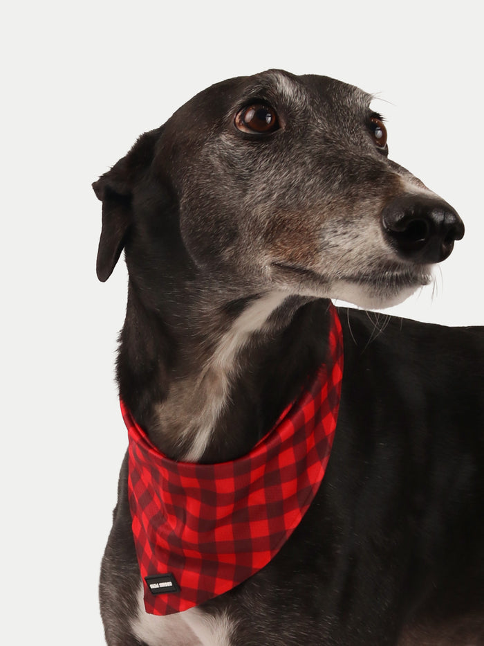 Cosmic Pets Bandana | Red Plaid-Image 2