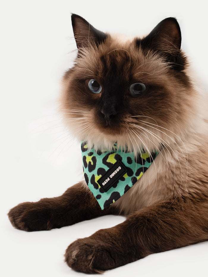 Cosmic Pets Bandana | Green Leopard-Image 2