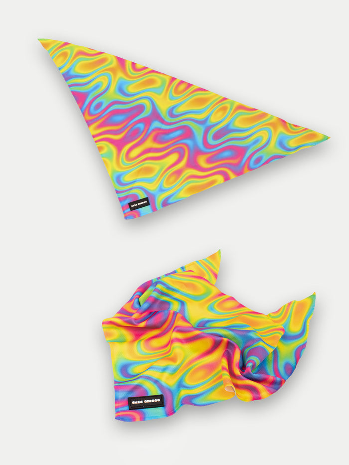 Cosmic Pets Bandana | Rainbow Swirl-Image 3