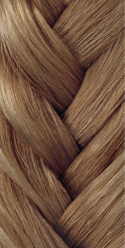 Epilogue 7-8 Brown