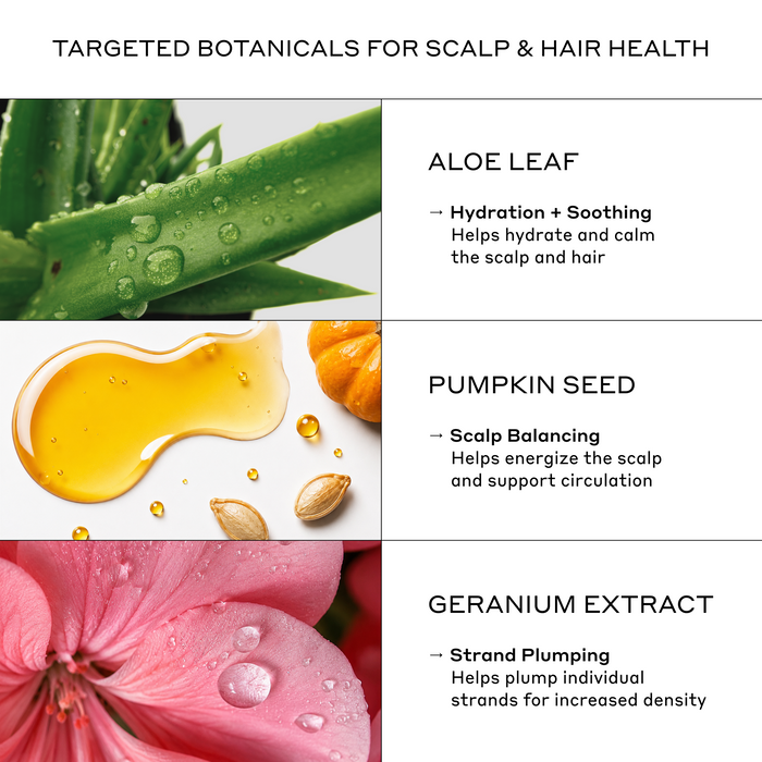 Zenagen Flexture Paste key ingredients infographic highlighting the scalp and hair health benefits of Aloe Leaf, Pumpkin Seed, and Geranium Extract.