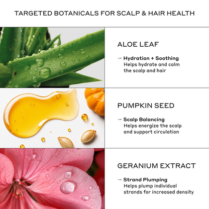 Zenagen Flexture Paste key ingredients infographic highlighting the scalp and hair health benefits of Aloe Leaf, Pumpkin Seed, and Geranium Extract.