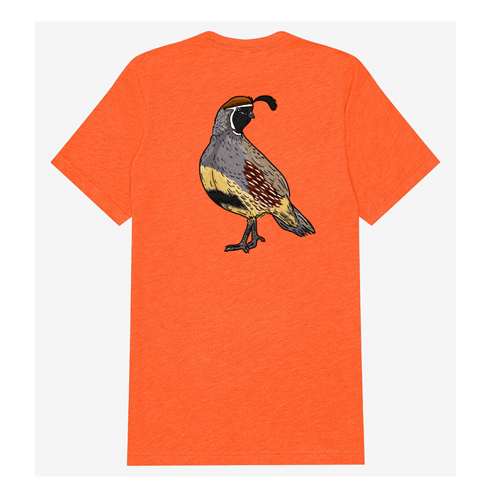 |Blaze Orange