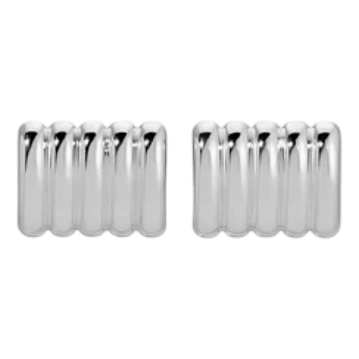 Pair of silver earrings on a white background