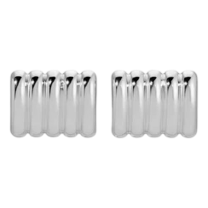 Pair of silver earrings on a white background