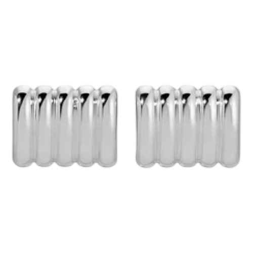 Pair of silver earrings on a white background