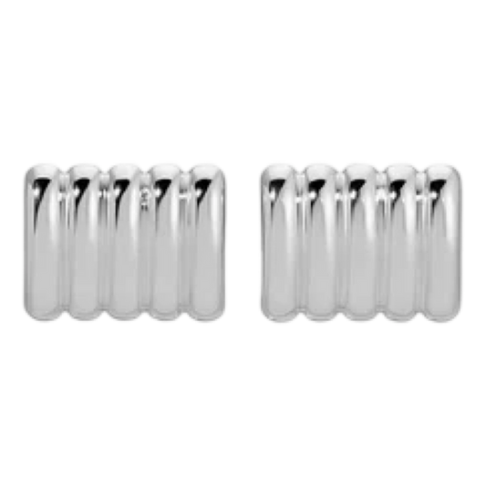 Pair of silver earrings on a white background