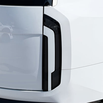 Rear Tint Kit (LIGHT)