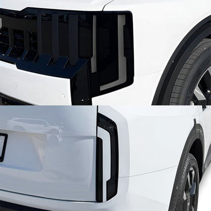 Full Tint Kit (LIGHT)