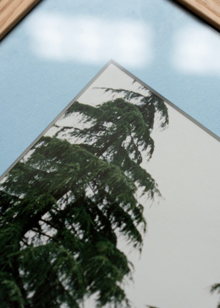 Light Blue Passepartout - The Poster Club