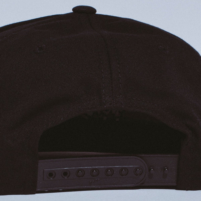 Liter 6 Panel Snapback