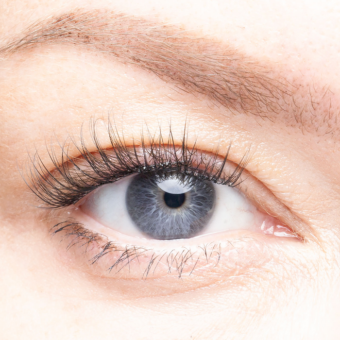 Miami - Pre-Glued Lash Clusters