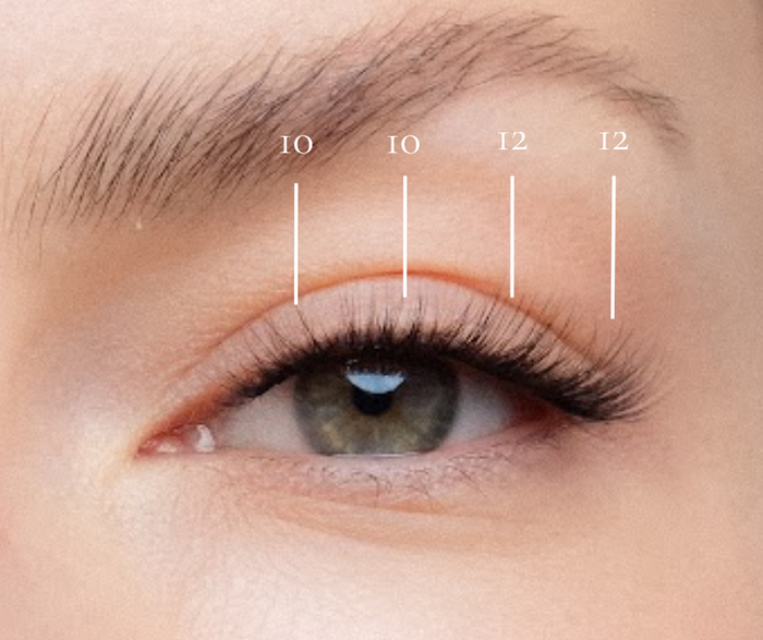 Miami - Pre-Glued Lash Clusters