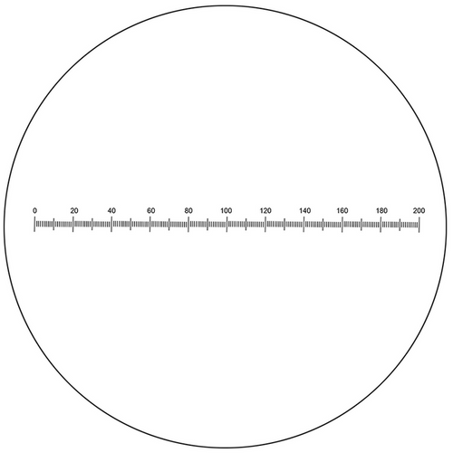 Microscope Eyepiece Reticle Linear Scale Micrometer Ruler Dia. 22mm, 10mm/200 Div., SKU RT20101142, three quarter front view