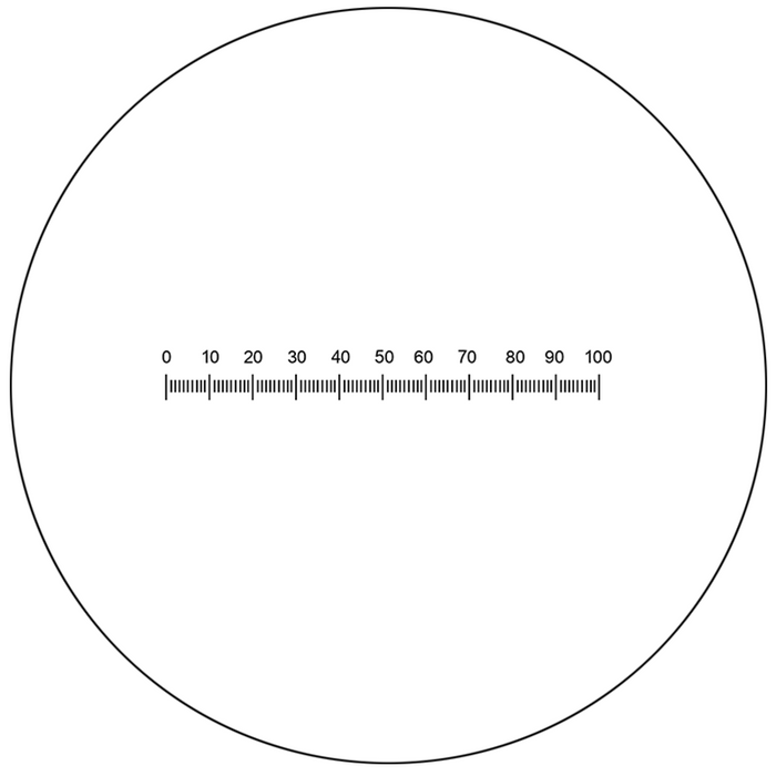 Microscope Eyepiece Reticle Linear Scale Micrometer Ruler Dia. 22mm, 5mm/100 Div., SKU RT20101141, three quarter front view
