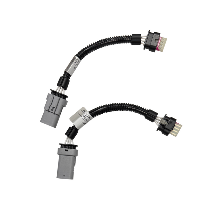 CAS-109264-KOOKS