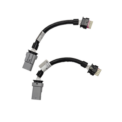 CAS-109264-KOOKS