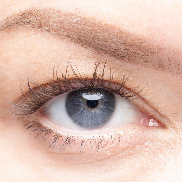 Paris - Pre-Glued Lash Clusters