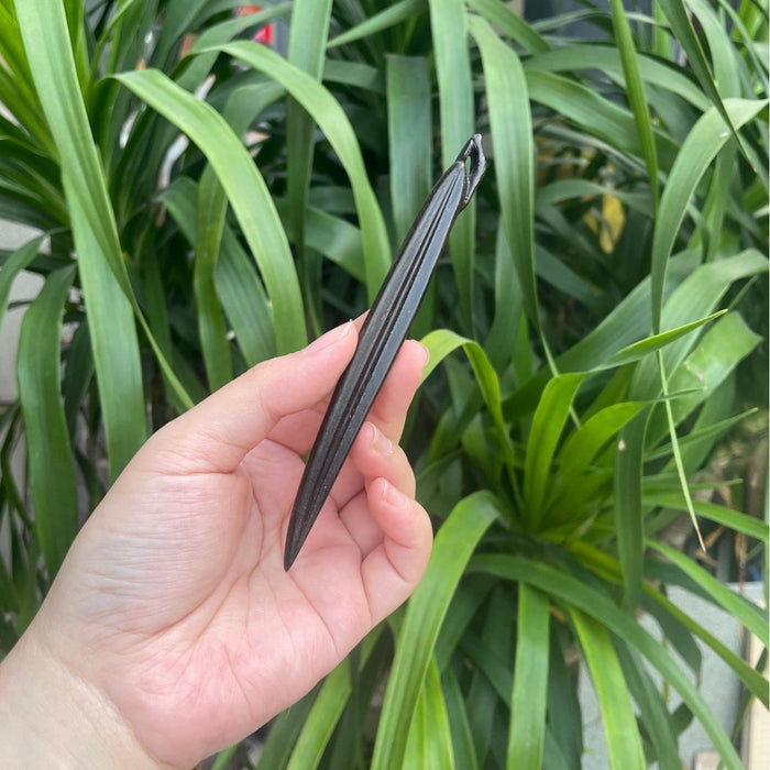 06 African Blackwood zhuye*10 pcs 13cm