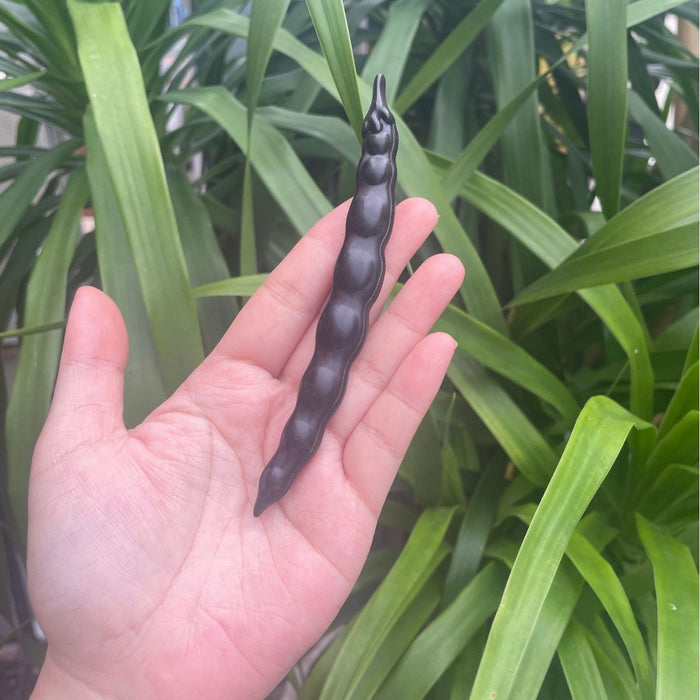07 African Blackwood doujiao*10 pcs 13cm