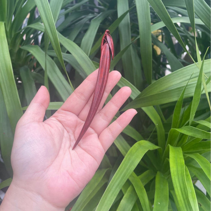 11 Rosewood liuye*10 pcs