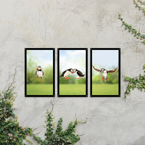 Puffin Parade Mirror Set