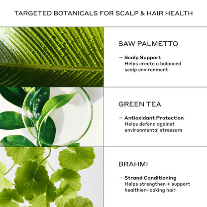 Zenagen Revolve Women's Shampoo ingredients including saw palmetto, green tea extract, and brahmi to support scalp health and healthier-looking hair.