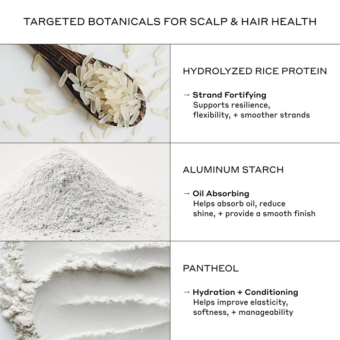 Zenagen RE:ZEN Dry Shampoo key ingredients infographic highlighting the scalp and hair health benefits of Hydrolyzed Rice Protein, Aluminum Starch, and Panthenol.