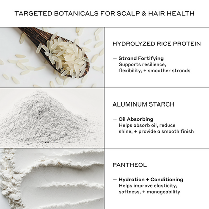 Zenagen RE:ZEN Dry Shampoo key ingredients infographic highlighting the scalp and hair health benefits of Hydrolyzed Rice Protein, Aluminum Starch, and Panthenol.