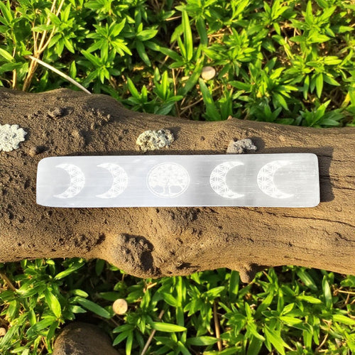 Selenite charging plate with moon phase carvings on a wooden branch with green foliage
